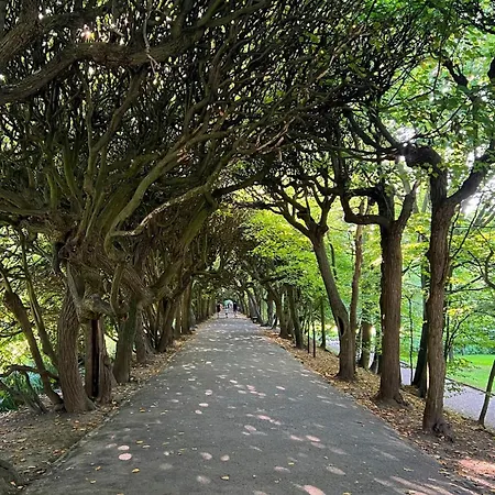 Apartment Olivia Business