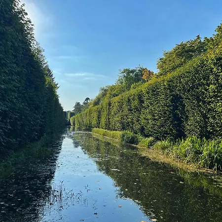 Апартаменты Olivia Business *