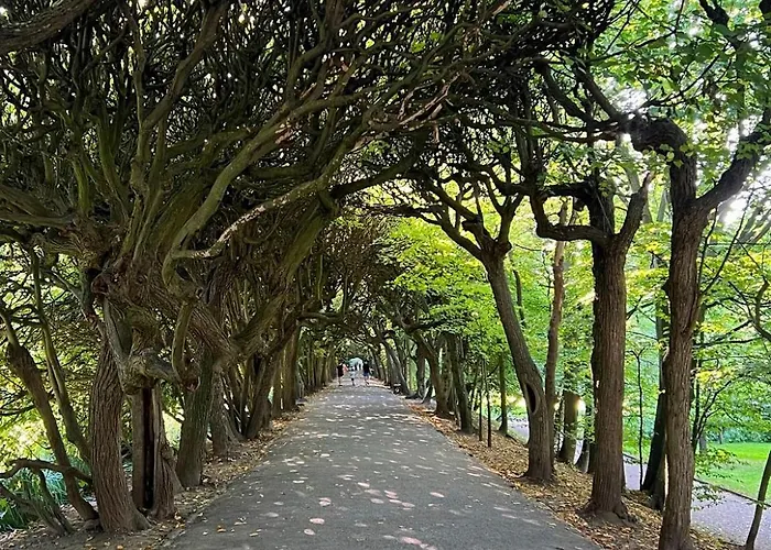 Apartman Olivia Business